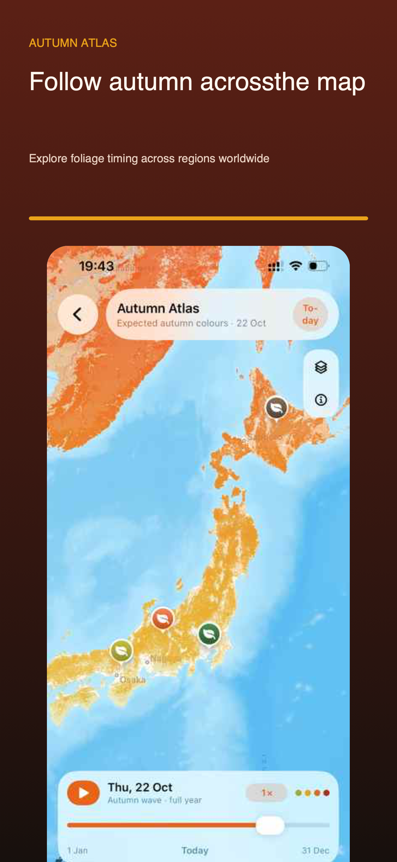 Autumn Atlas worldwide foliage forecast map